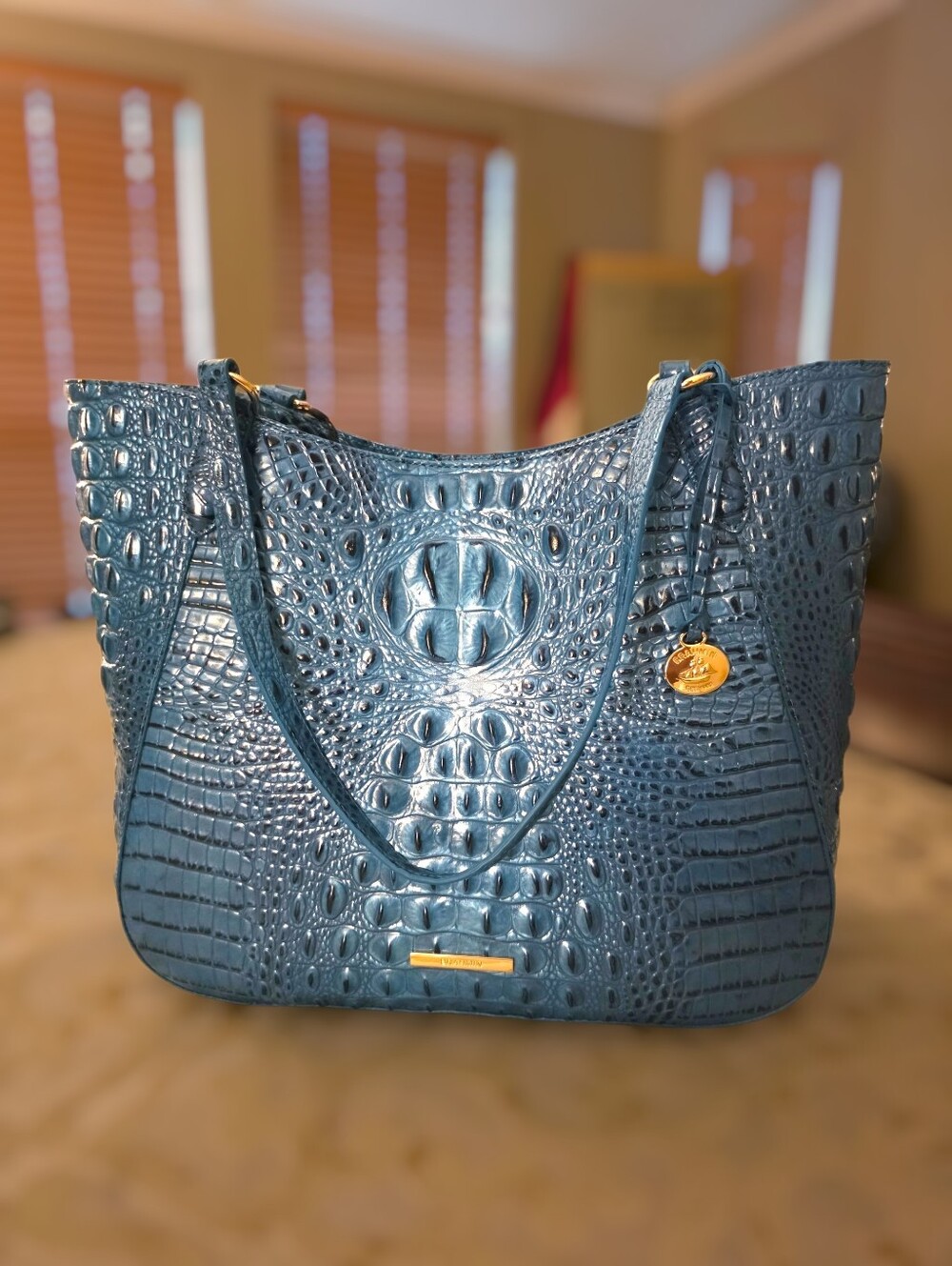 BRAHMIN Aliza Melbourne Large Leather Tote Handbag